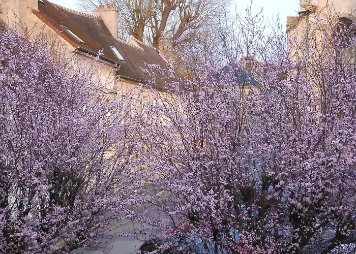 Maison de Marie